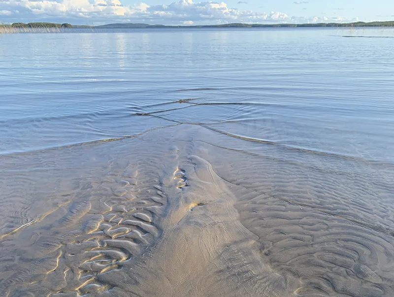 Järvi — Suovanlahti